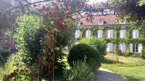 A garden with a wooden trellis covered in red roses, a well-maintained hedge, and a building with white shutters and ivy. - Maravillon (Villon)