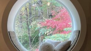 A round window with a view of trees and foliage.