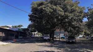 Une scène de rue avec un grand arbre, un bâtiment doté d’un auvent vert et des véhicules garés.