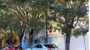Une rue bordée de voitures garées et d’arbres.