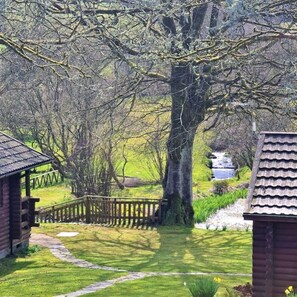 Property grounds - Ta Mill Millers Cottage in a Stunning Retreat (Launceston)