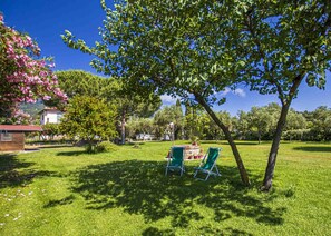 Terrain de l’hébergement 