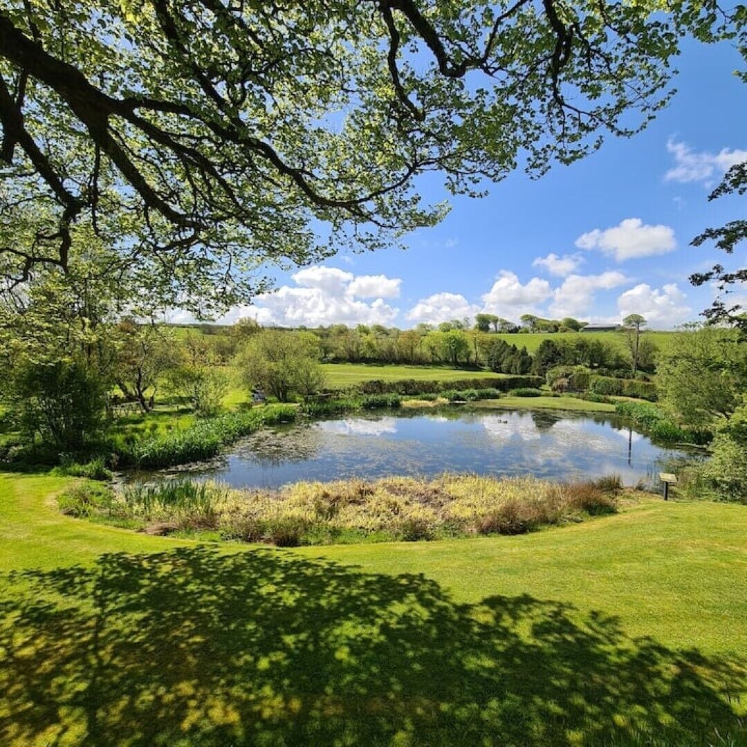 A serene landscape with a pond, lush greenery, and a clear sky.