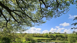 Et roligt landskab med en sø, frodig vegetation og en klar himmel.
