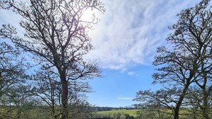A rustic cabin with a tiled roof, surrounded by lush greenery and trees. - Ta Mill Hayloft Cottage in a Stunning Retreat (Launceston)