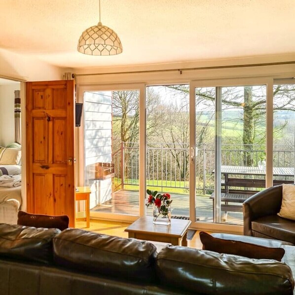 Télévision, table de tennis de table