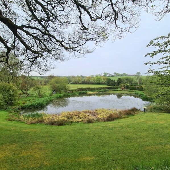 Terrain de l’hébergement 