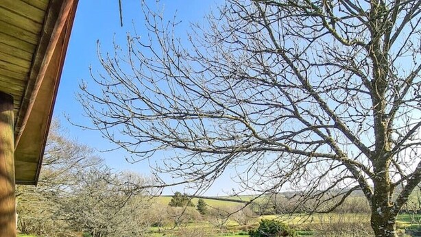 A view of a lush green landscape with a large tree in the foreground, a clear blue sky, and a distant view of rolling hills. - Cosy log-cabin style lodge with outdoor Lay-Z-Spa in rural, North Cornwall. (Launceston)