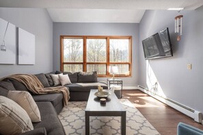 TV, fireplace, offices