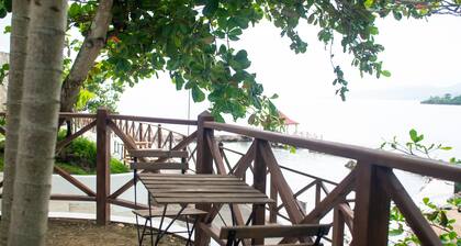 Vital Frequency Retreat