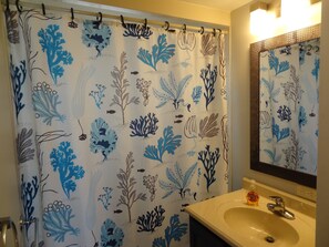 Ensemble douche/baignoire, sĂšche-cheveux, serviettes fournies