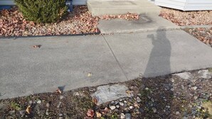 A concrete driveway leading to a house with a small tree and a door. - Close to Mayo/Shops, 1 step entry Covered By Faith (Rochester)