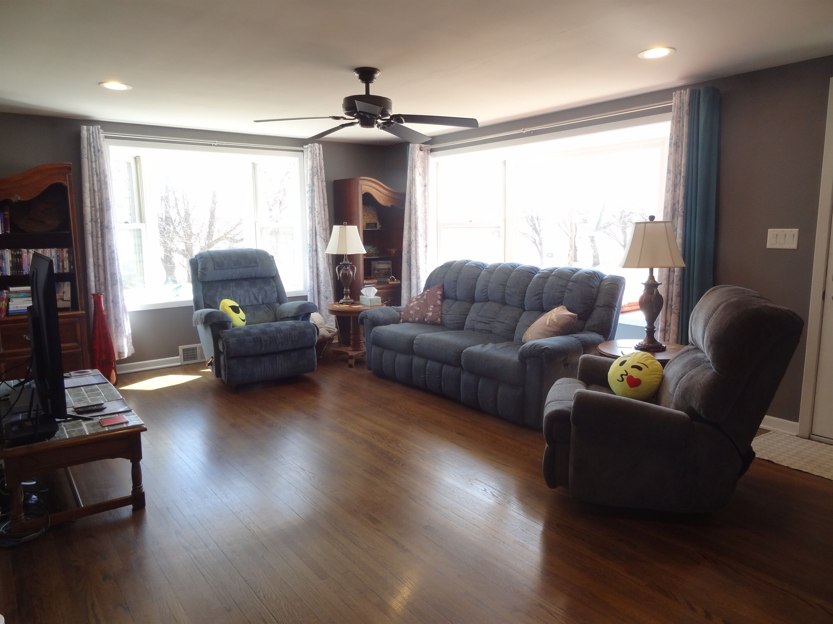 Smart TV, DVD player, books, video library