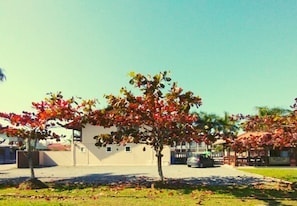 Cancha deportiva