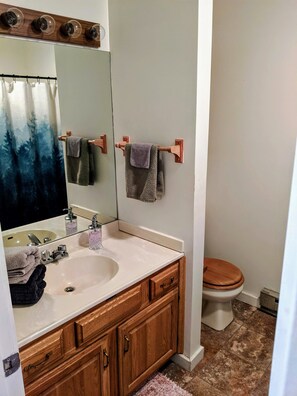 Combined shower/bathtub, jetted bath, hair dryer, towels