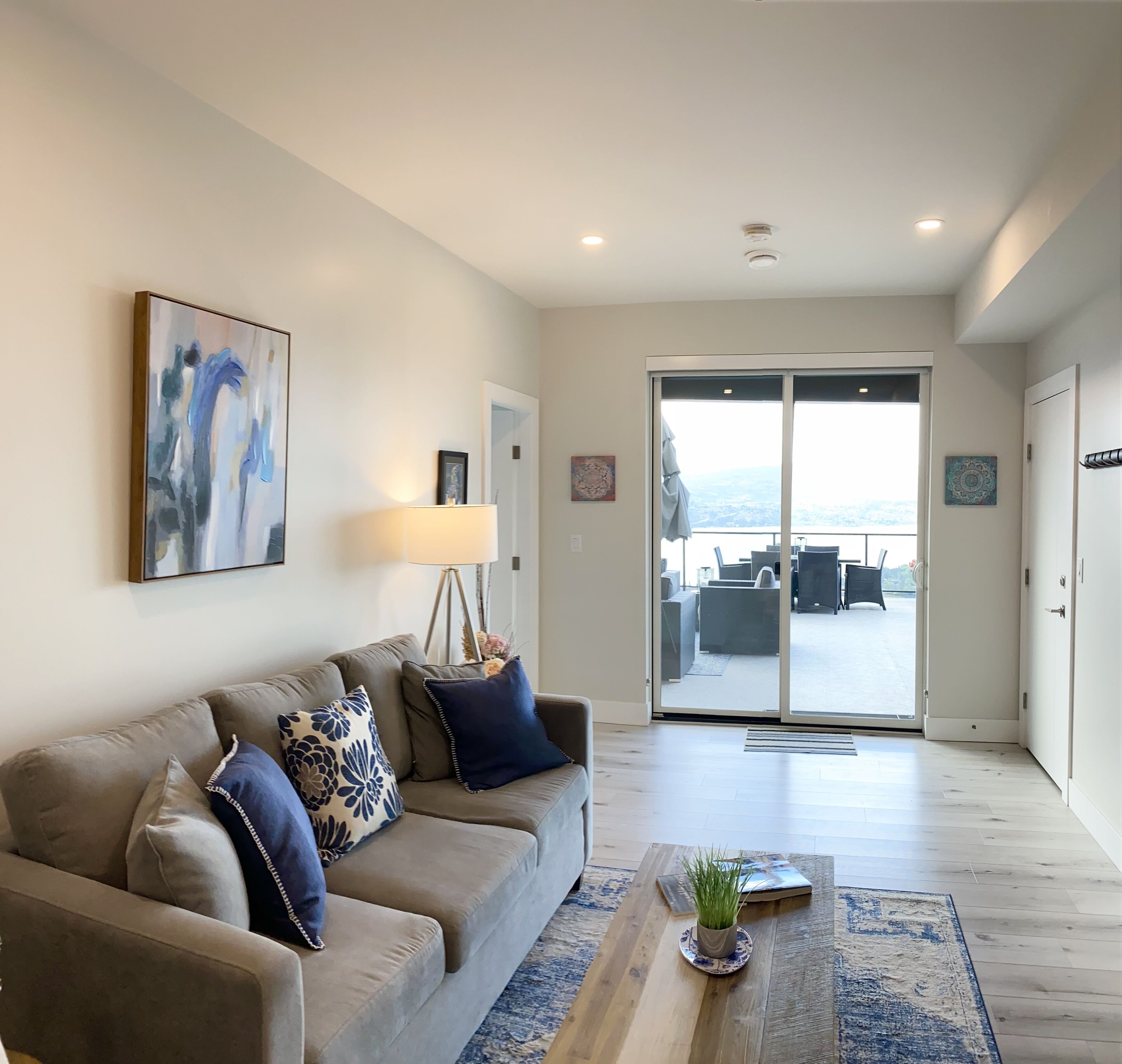 TV connectée, cheminée, livres