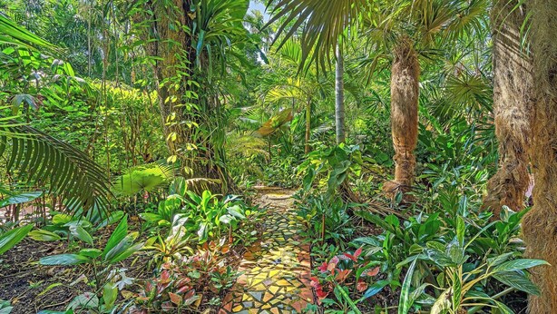 Un exuberante jardín con diversas plantas tropicales y un sendero de mosaicos.