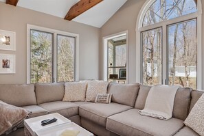 TV, fireplace, DVD player - The Tree House - North Star Properties (Sawyer)