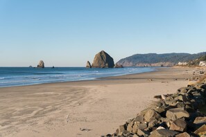 Beach - Tolovana #3 (Cannon Beach)