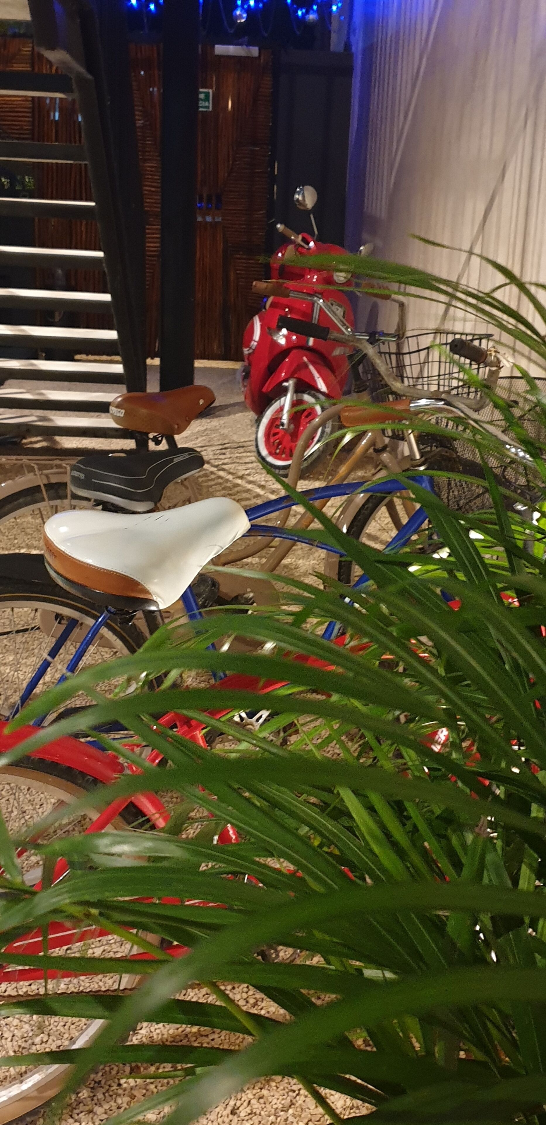 Ein Zimmer mit einem Fahrrad, einem Roller, einer Treppe und einer Pflanze.