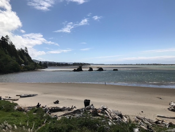 Condo, 1 King Bed with Sofa bed, Ocean View (Waters Edge 309) | Beach