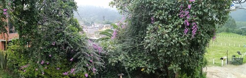 Color San Gabriel Full