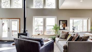 智能电视、壁炉、DVD 播放器、书