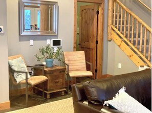 TV connectée, cheminée, lecteur de DVD, livres