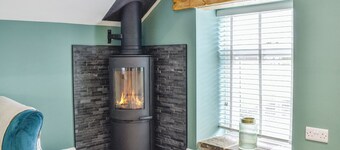 Barn Owls Nest-UK39432