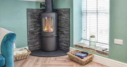 Barn Owls Nest-UK39432