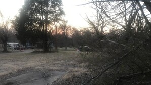 A yard with a concrete path, trees, and a distant building.