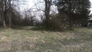 A grassy area with trees and a path. - Campsite in Muskogee off Market & 10th (Muskogee)