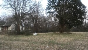 A grassy yard with trees and a house in the background.