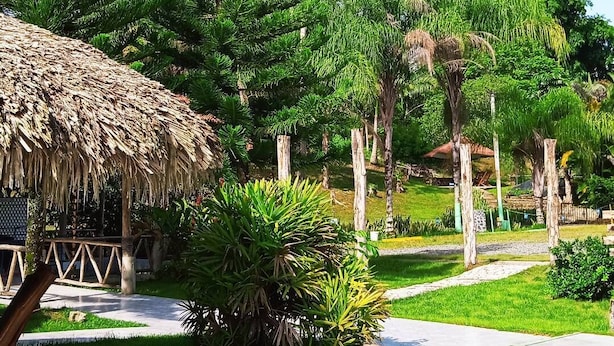 A tropical garden with a thatched-roof structure, palm trees, and a paved walkway.