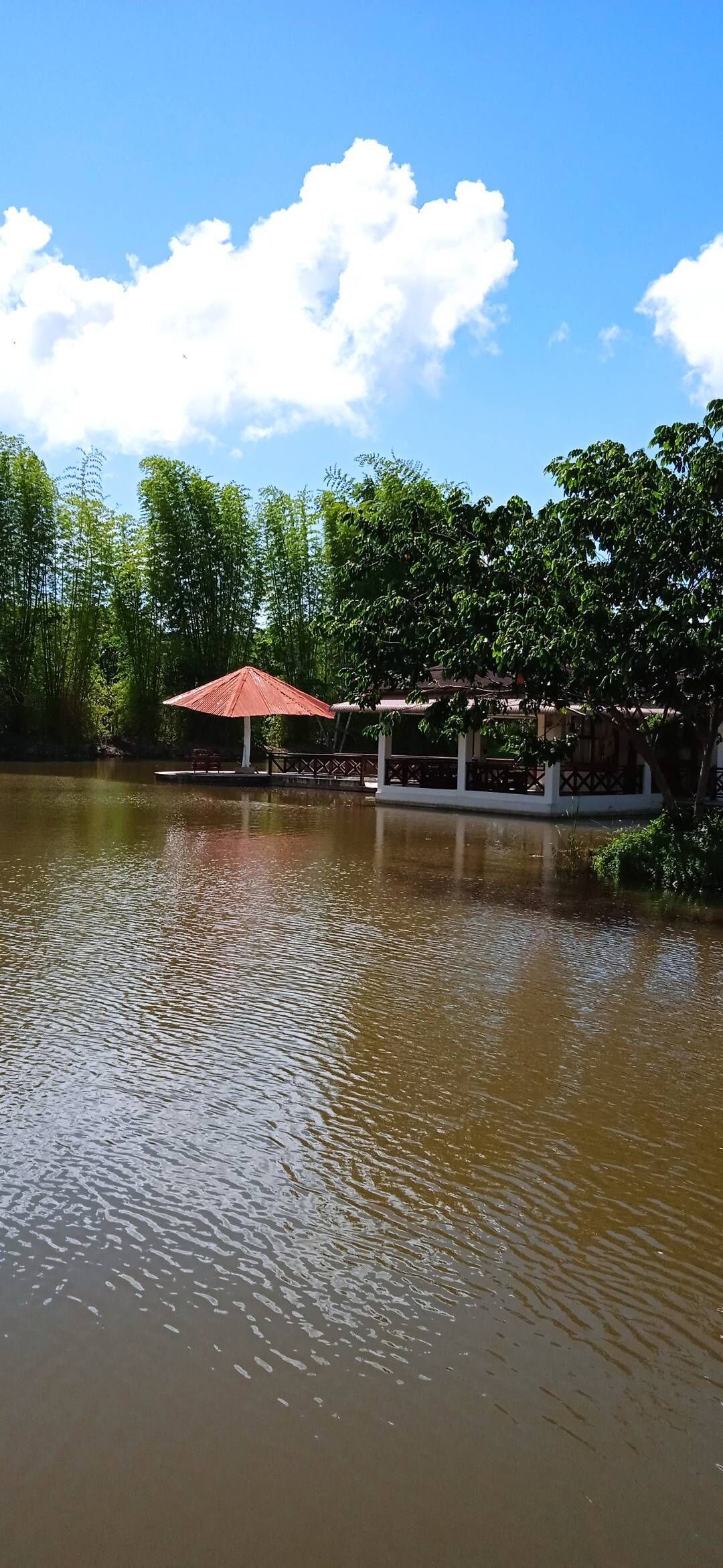 Un lago tranquilo con un pabellón y una pasarela de madera.