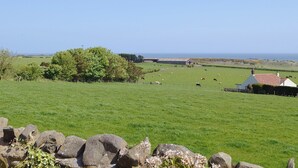 A rural landscape with a stone wall in the foreground, a large tree, and a field with grazing animals.