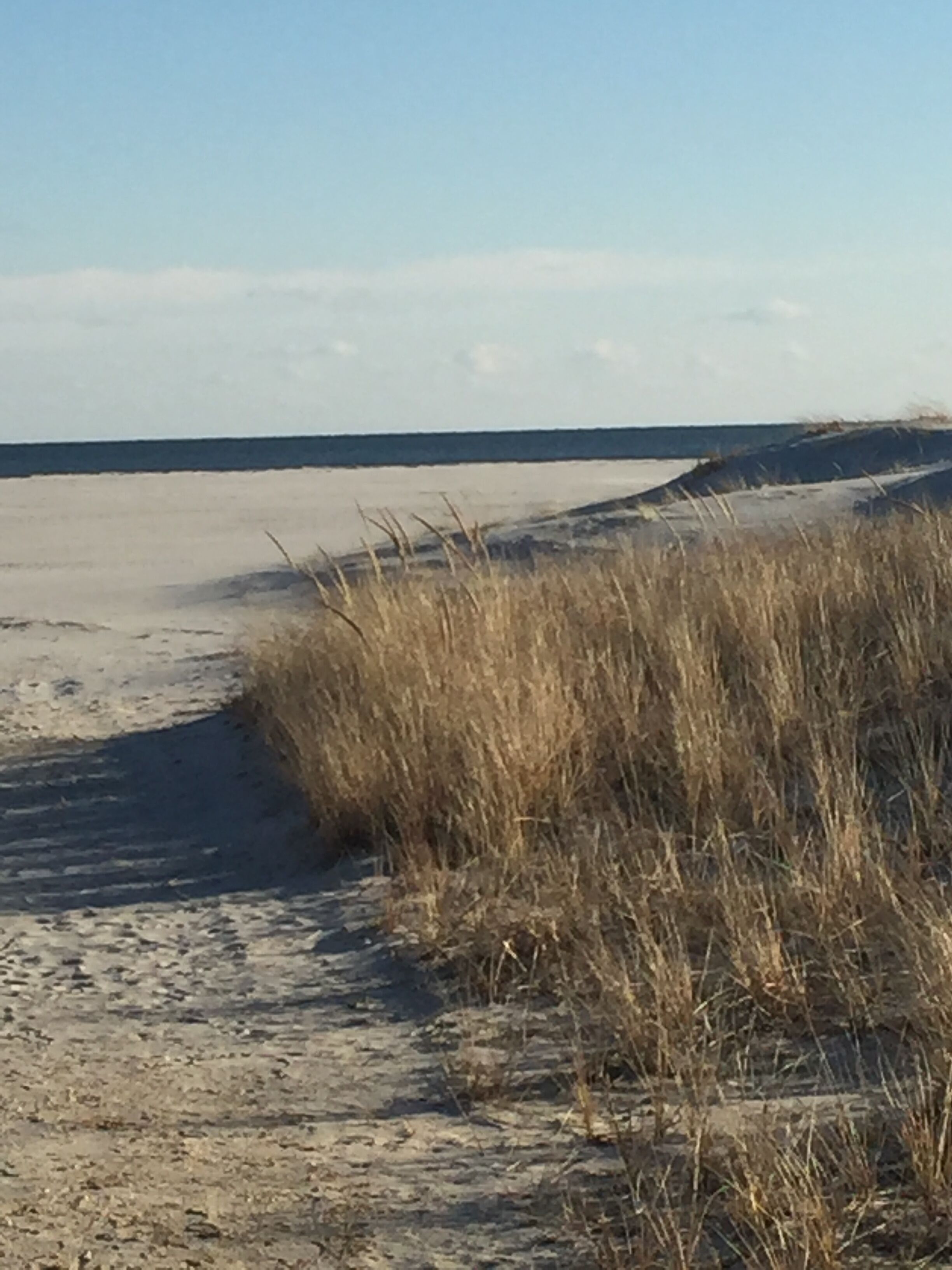 Plage, chaises longues