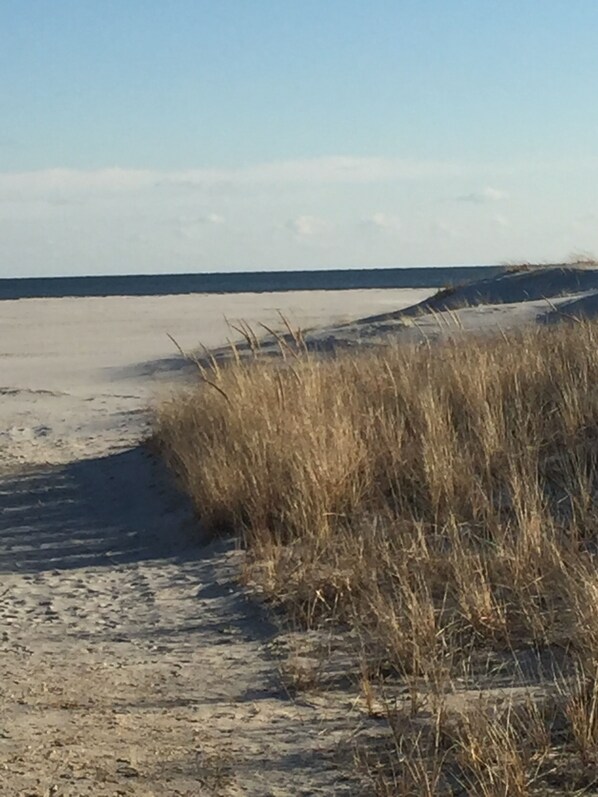 En la playa y camastros 