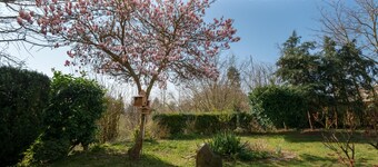 Apartment Oasis - Gemütliche Wohnung mit Garten