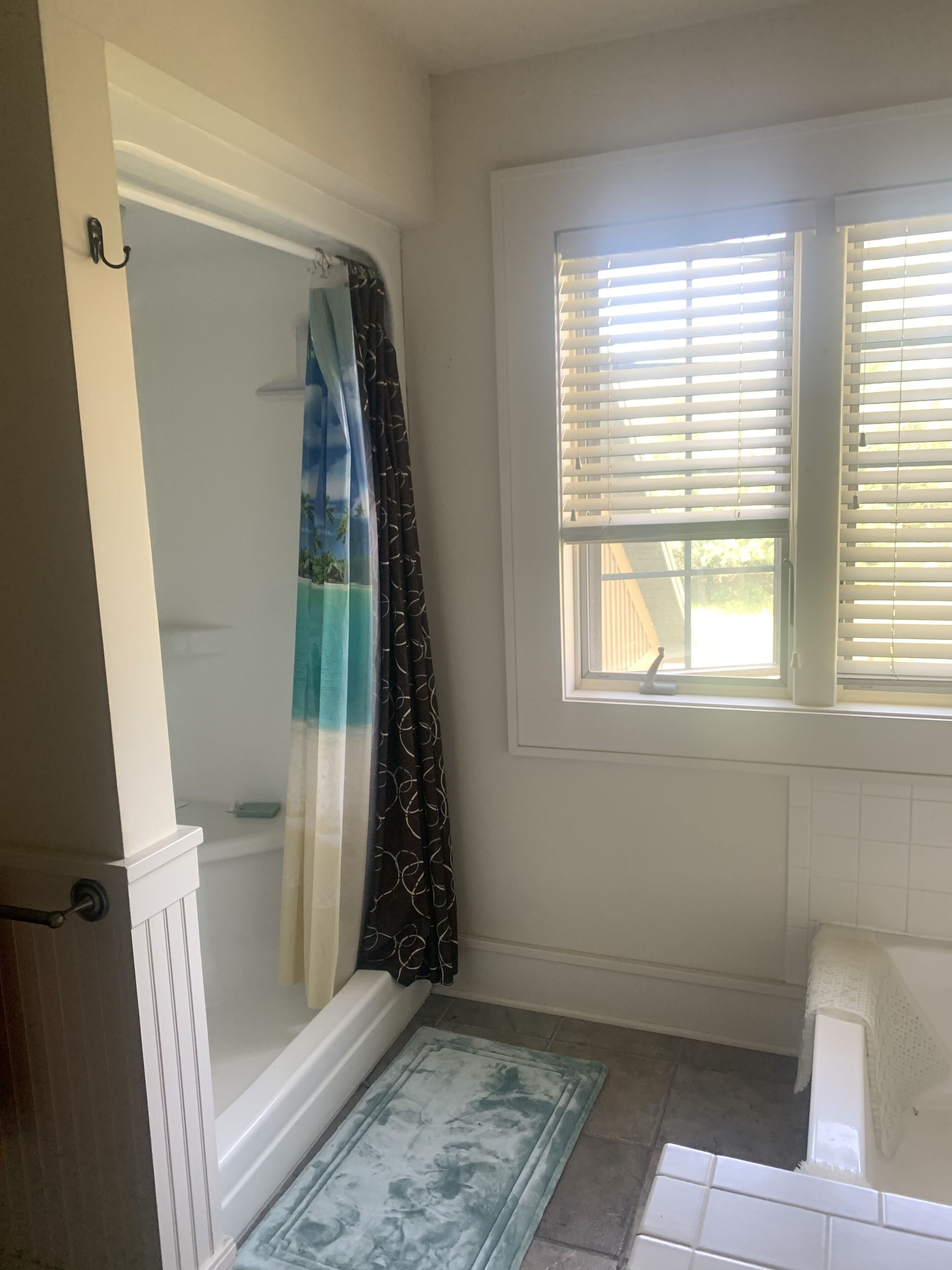 Bathtub, towels, soap, shampoo