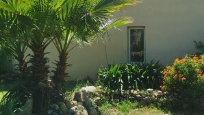 Una casa con un muro de piedra, una palmera y un parterre de flores.