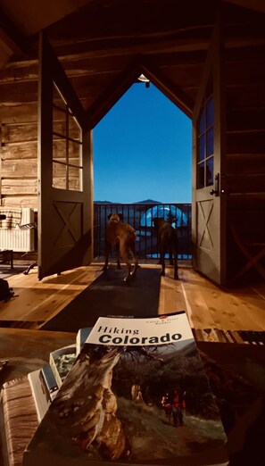 Signature Studio Suite, 1 King Bed with Sofa bed, Ensuite | Free WiFi, bed sheets - Navajo Peak Lodge (Chromo)