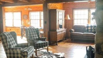 TV connectée, cheminée, Netflix, livres