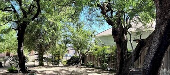 Bird Lover's Paradise