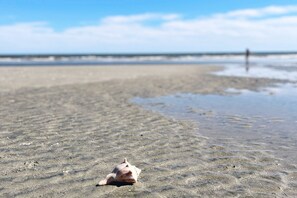 Beach nearby - Snowbird-friendly island cottage with fairway views, lanai, & AC - dogs welcome (Edisto Beach)