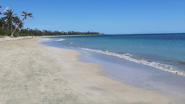 Una playa con agua azul cristalina, orilla arenosa y palmeras.