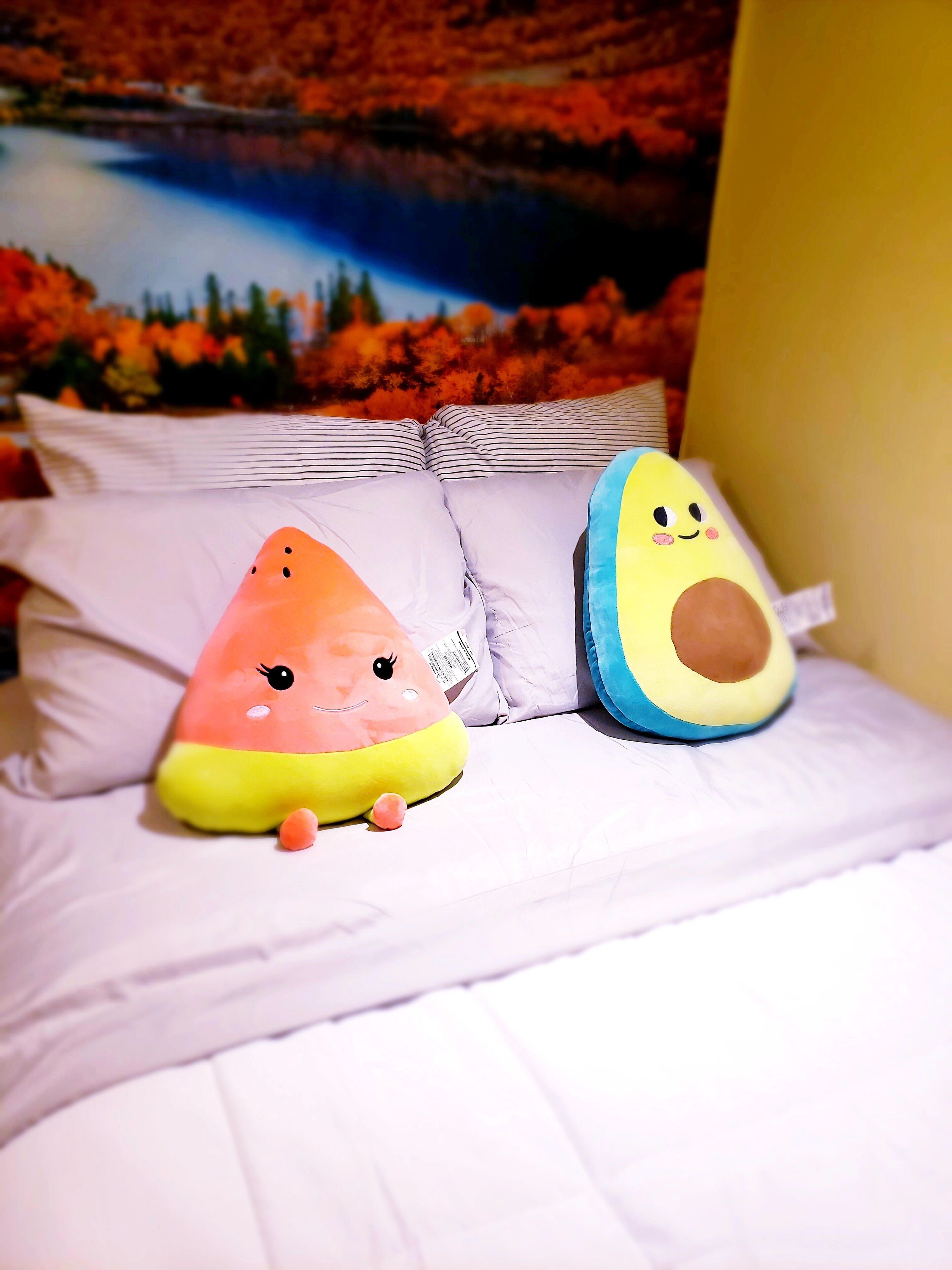 2 habitaciones, escritorio, tabla de planchar con plancha y wifi gratis 