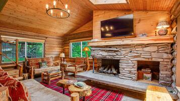 Télévision, cheminée, livres