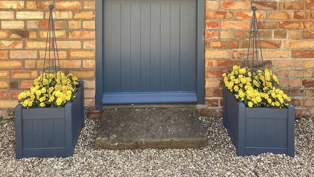 A blue door with a small window above it, flanked by two flower planters with yellow flowers. - Stepping Gate Cottage (Scalby, near Scarborough)