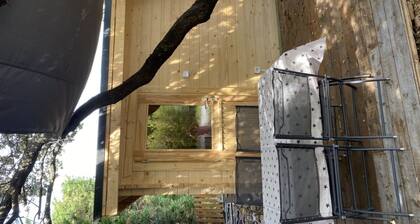 Cozy chalet of 20 m2 with swimming pool